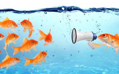 10 ideas for your next Social Media Campaign
