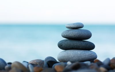 Holistic SEO: Improve all Aspects of your Website
