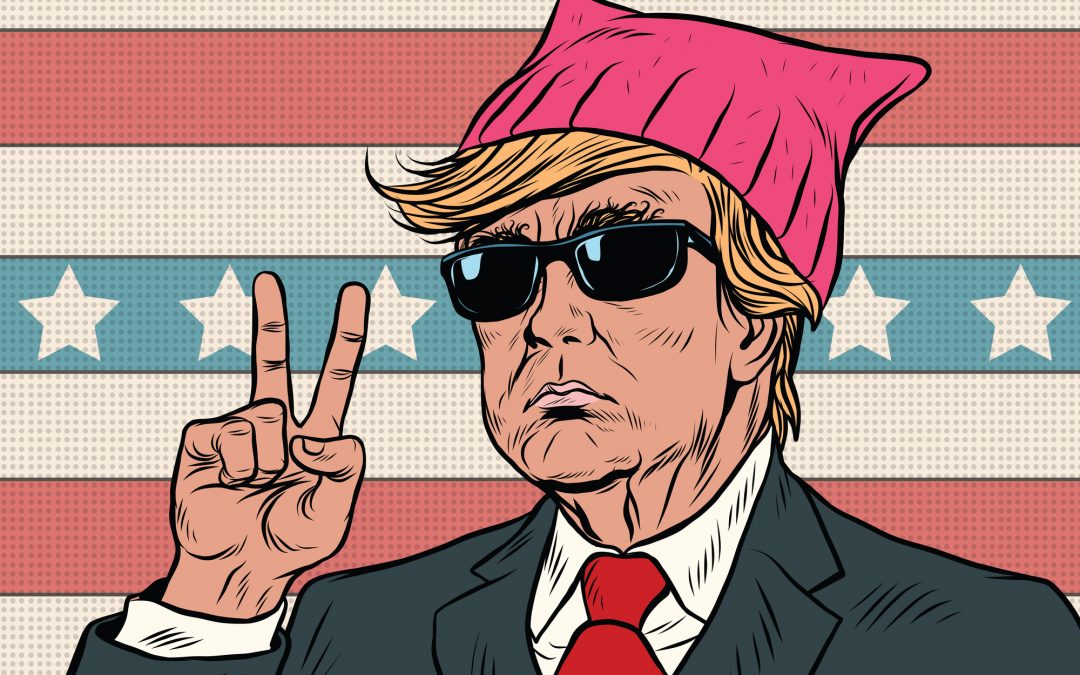 Donald Trump President, feminist pink pussy hat